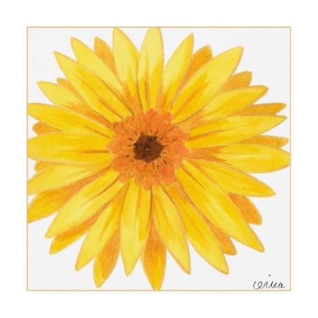 June Erica Vess 'Bright Blossoms IV Childrens Art' Canvas Art,35x35